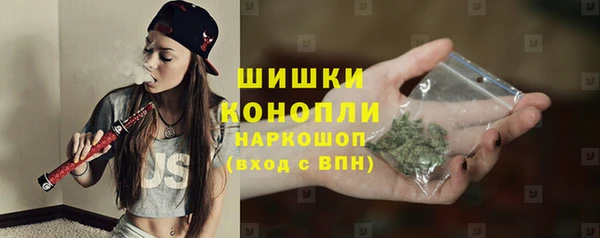 стаф Зеленокумск