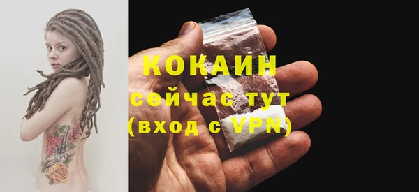 стаф Зеленокумск