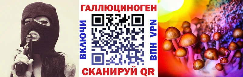 Купить закладки  Рудня  Галлюциногенные грибы Psilocybe 