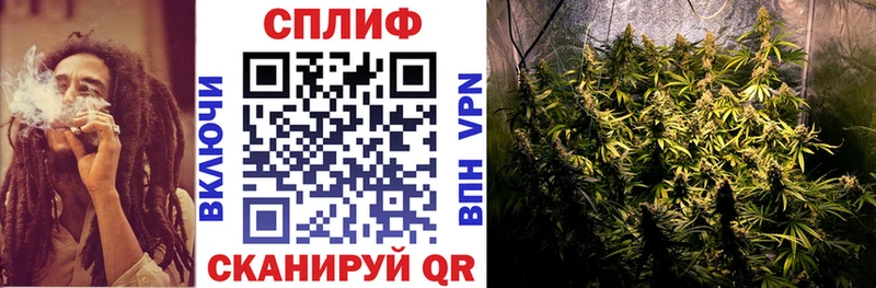 Марихуана VHQ  Купить закладки  Рудня 